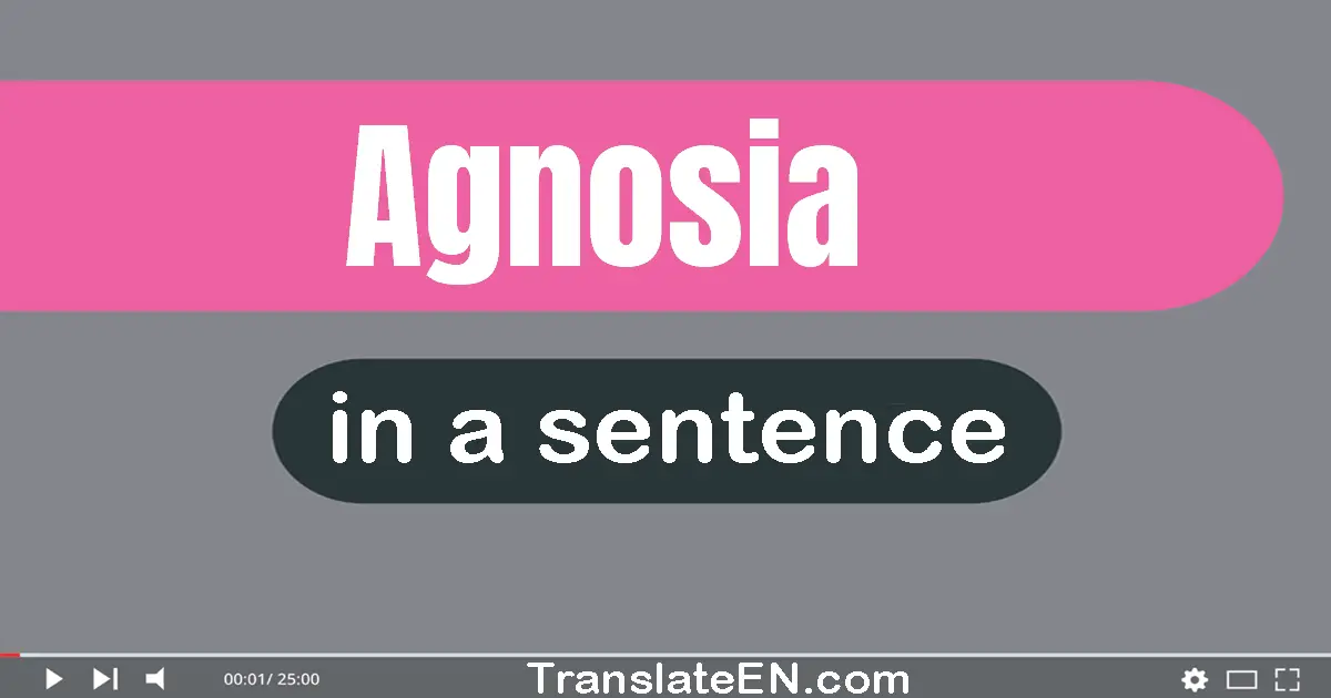 Use "agnosia" in a sentence | "agnosia" sentence examples