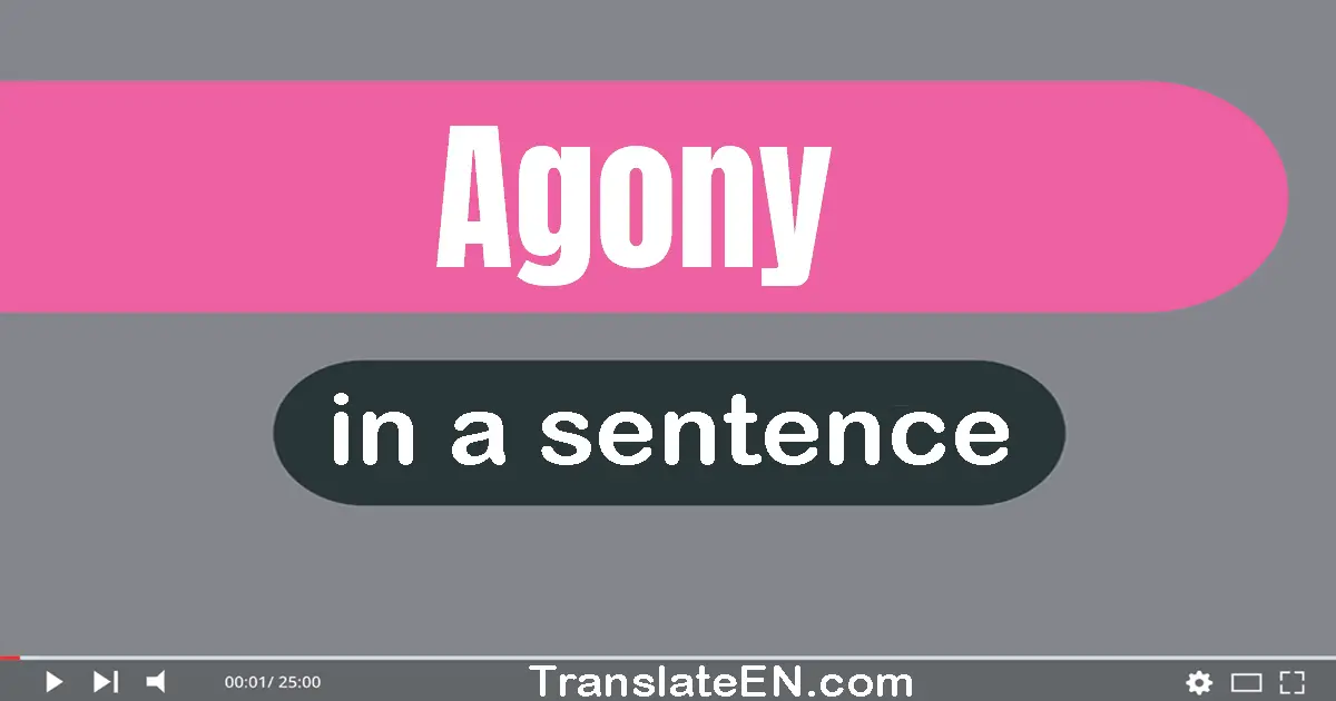 Use "agony" in a sentence | "agony" sentence examples