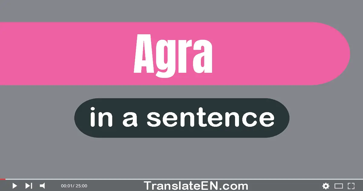 Use "agra" in a sentence | "agra" sentence examples