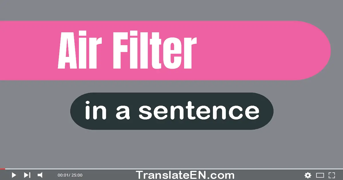 Air Filter in a sentence