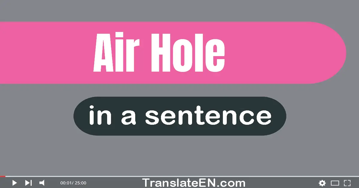 Use "air hole" in a sentence | "air hole" sentence examples
