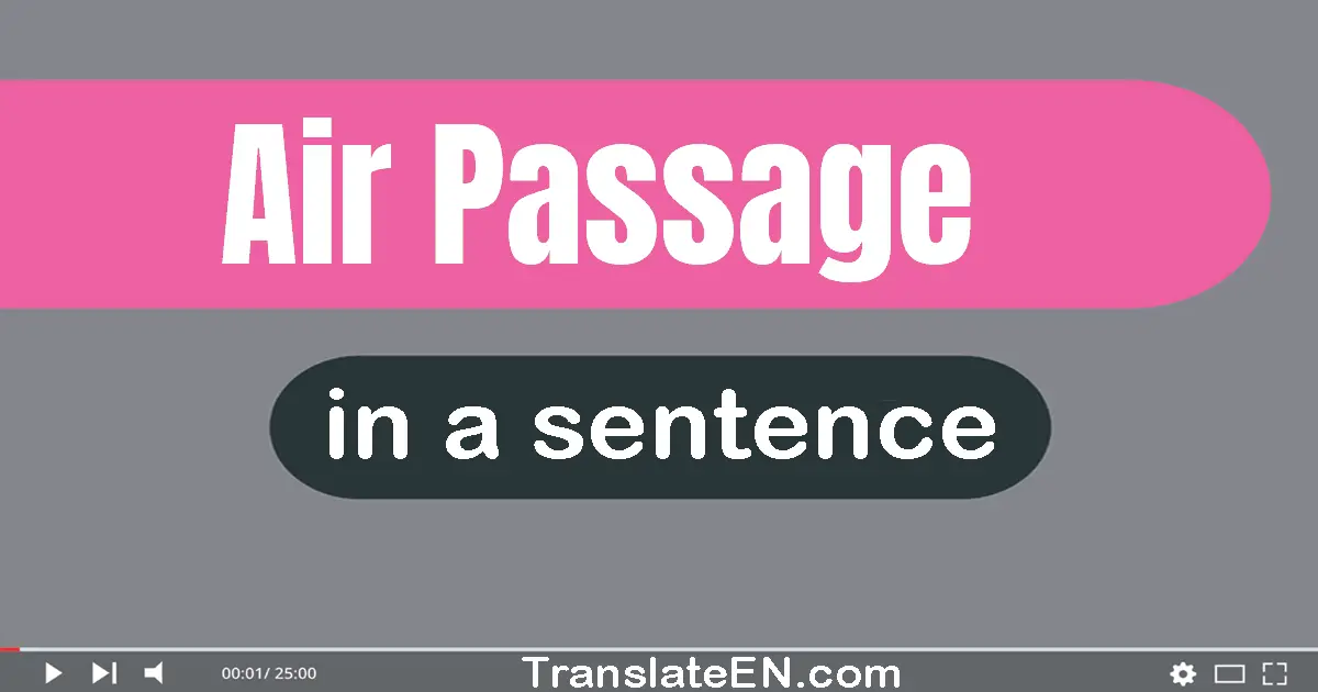 Use "air passage" in a sentence | "air passage" sentence examples