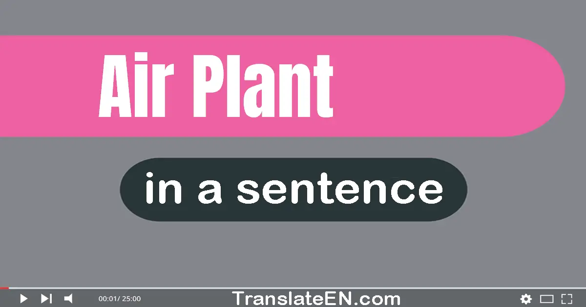 Use "air plant" in a sentence | "air plant" sentence examples