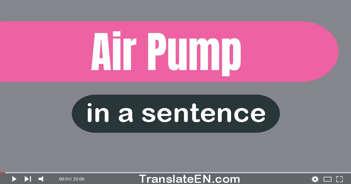 Use "air pump" in a sentence | "air pump" sentence examples