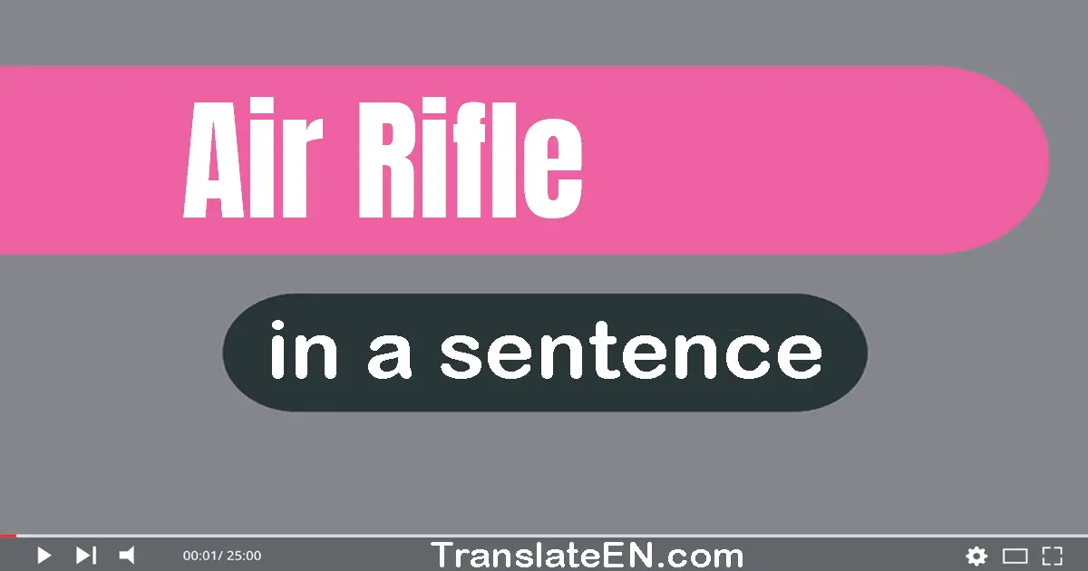 Use "air rifle" in a sentence | "air rifle" sentence examples