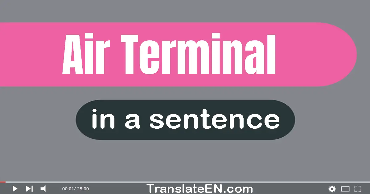 Use "air terminal" in a sentence | "air terminal" sentence examples