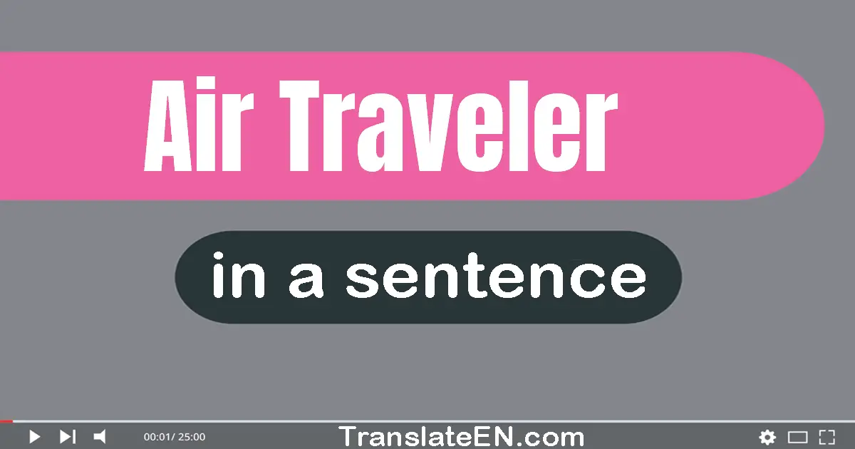 Use "air traveler" in a sentence | "air traveler" sentence examples