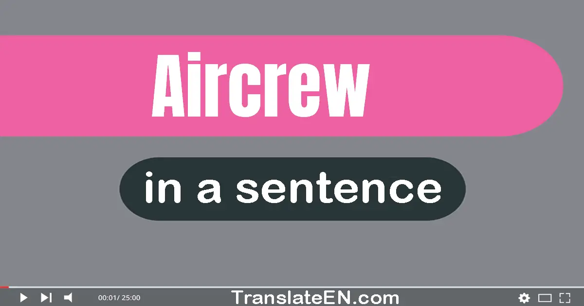Use "aircrew" in a sentence | "aircrew" sentence examples