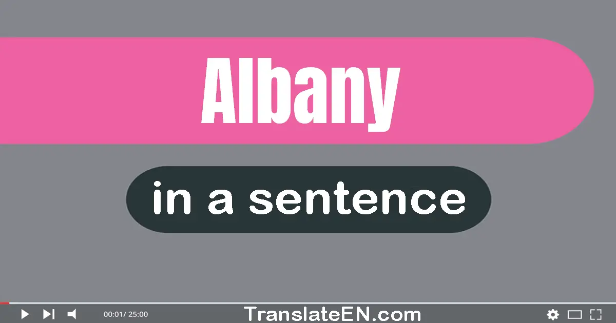 Albany in a sentence