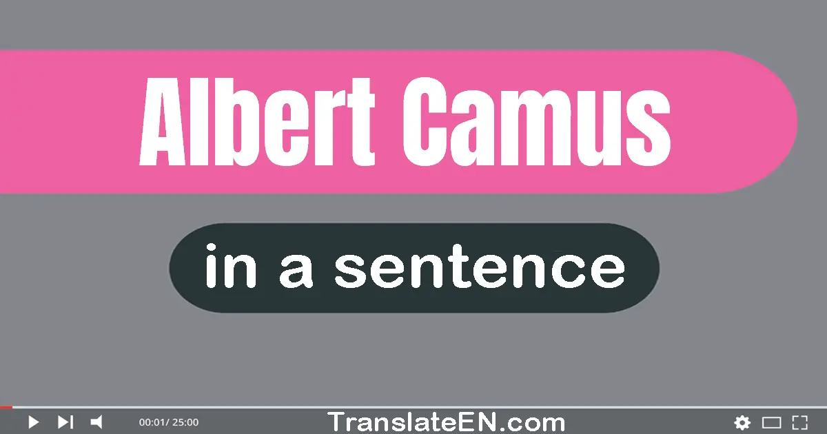 Albert Camus in a sentence