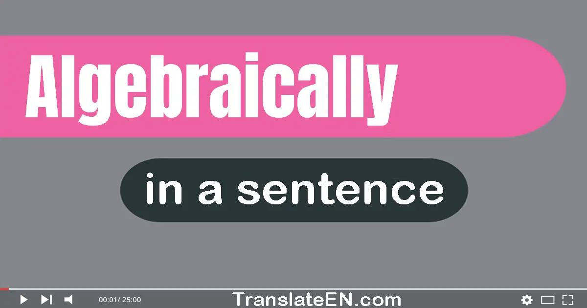 Use "algebraically" in a sentence | "algebraically" sentence examples