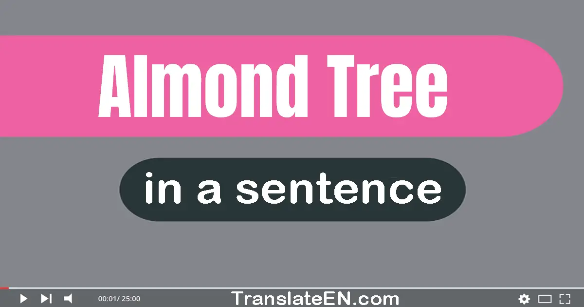 Almond Tree in a sentence