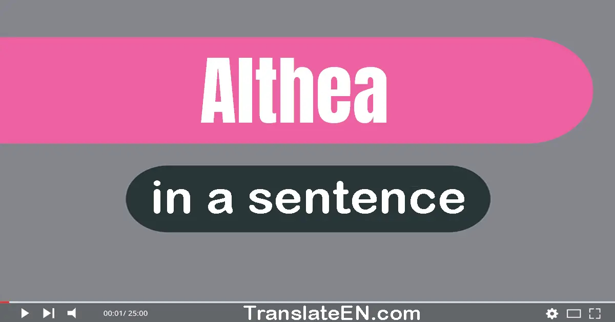 Althea in a sentence