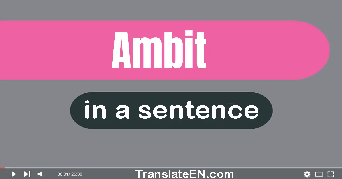 Use "ambit" in a sentence | "ambit" sentence examples