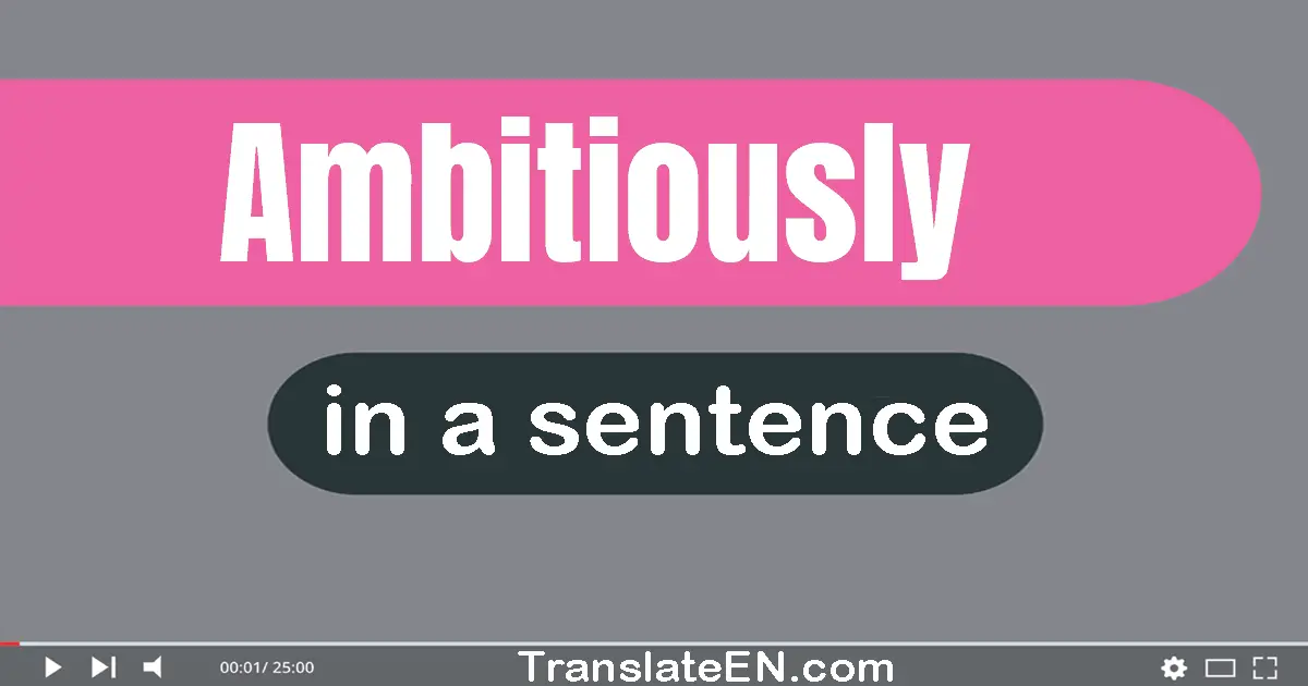 Use "ambitiously" in a sentence | "ambitiously" sentence examples