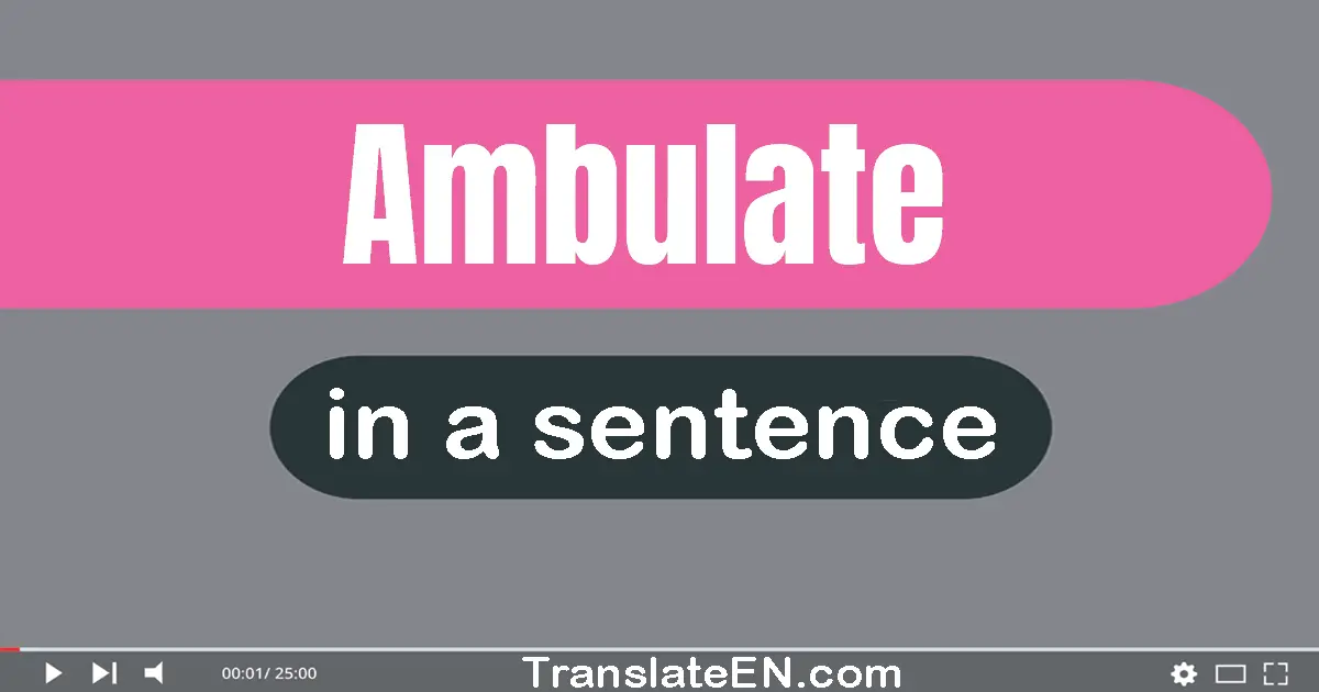 Use "ambulate" in a sentence | "ambulate" sentence examples
