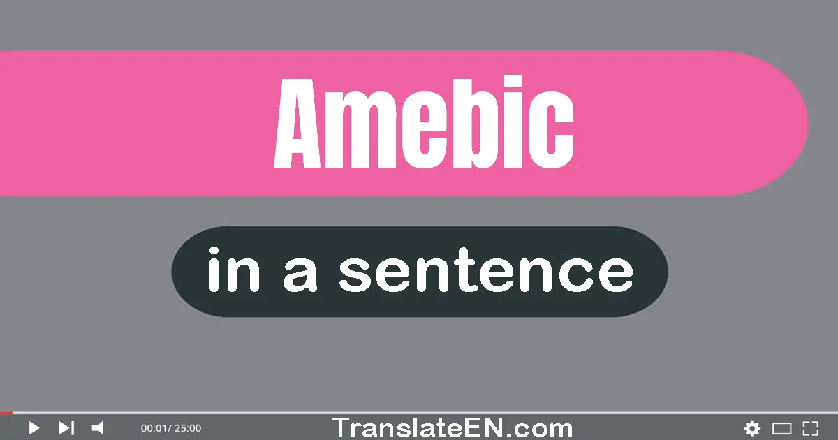 Use "amebic" in a sentence | "amebic" sentence examples