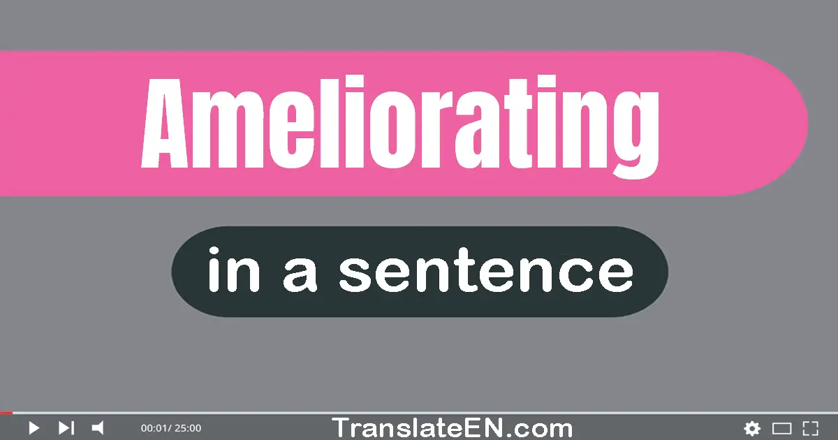 Use "ameliorating" in a sentence | "ameliorating" sentence examples