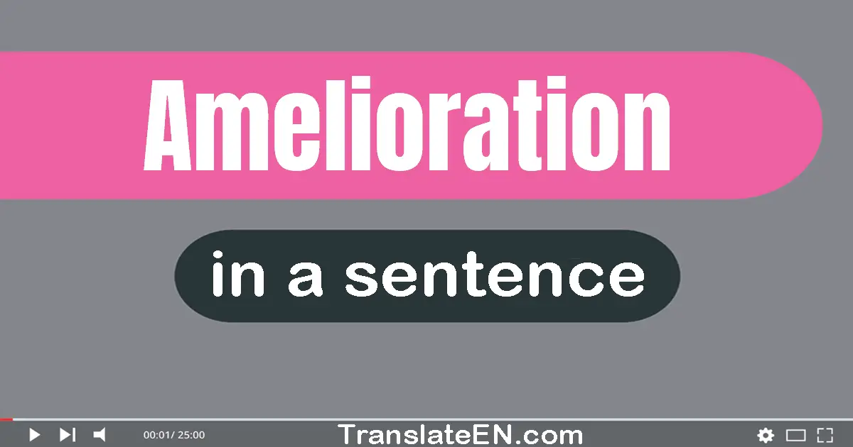 Use "amelioration" in a sentence | "amelioration" sentence examples