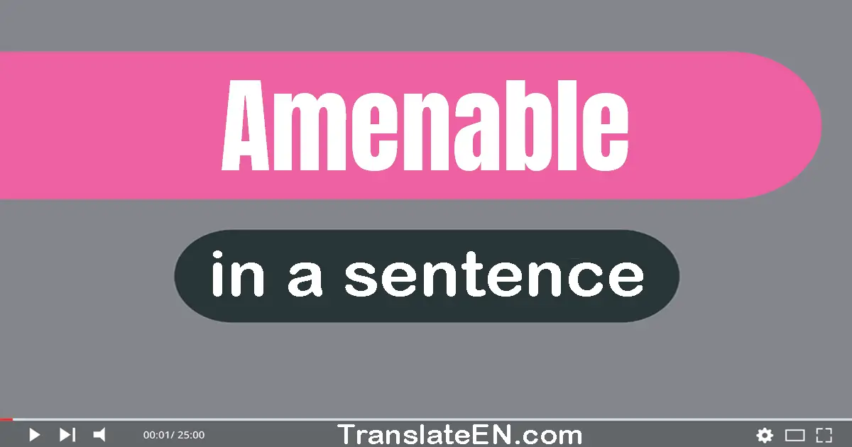 Use "amenable" in a sentence | "amenable" sentence examples