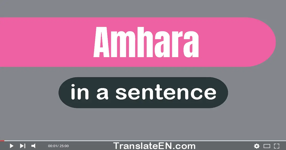 Amhara in a sentence