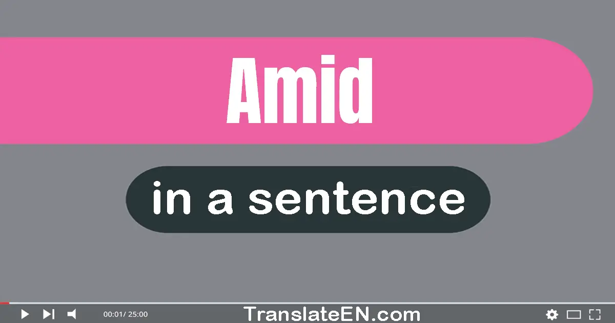 Use "amid" in a sentence | "amid" sentence examples