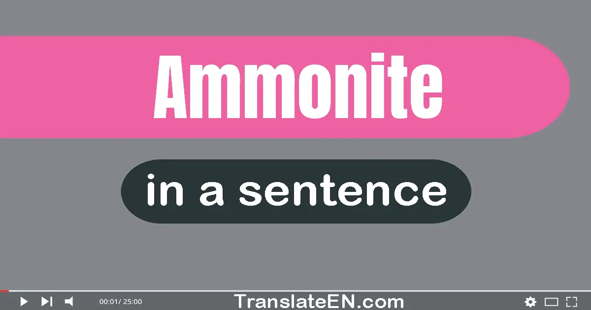 Ammonite in a sentence