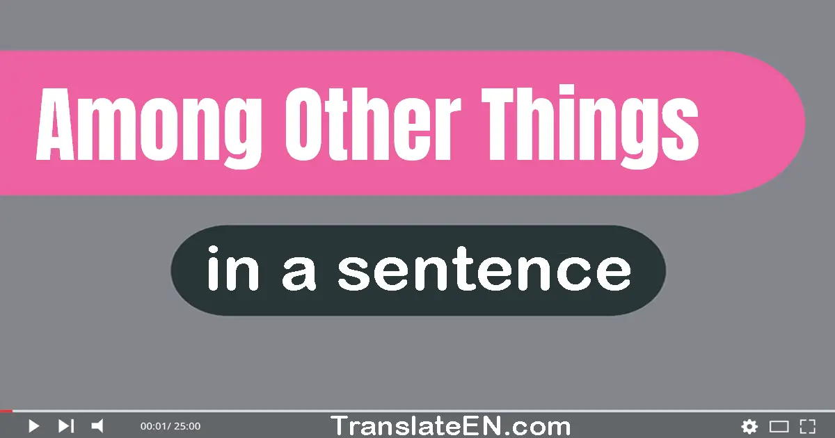 Use "among other things" in a sentence | "among other things" sentence examples