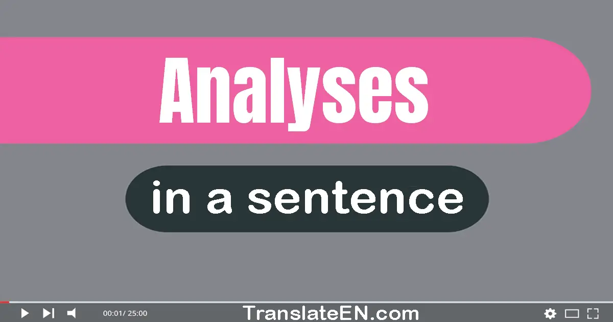 Use "analyses" in a sentence | "analyses" sentence examples