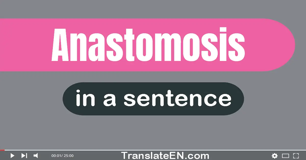 Anastomosis in a sentence