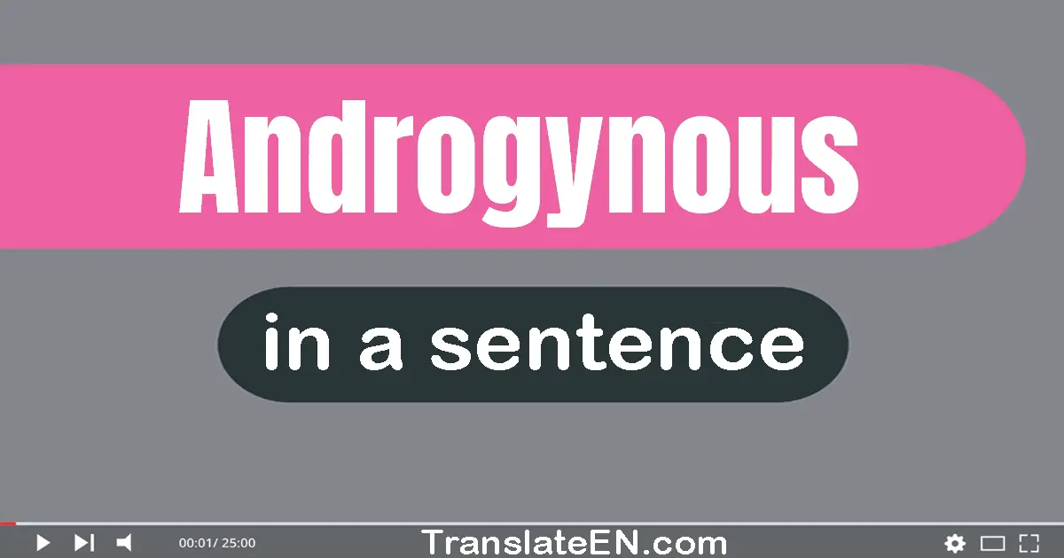 Androgynous in a sentence