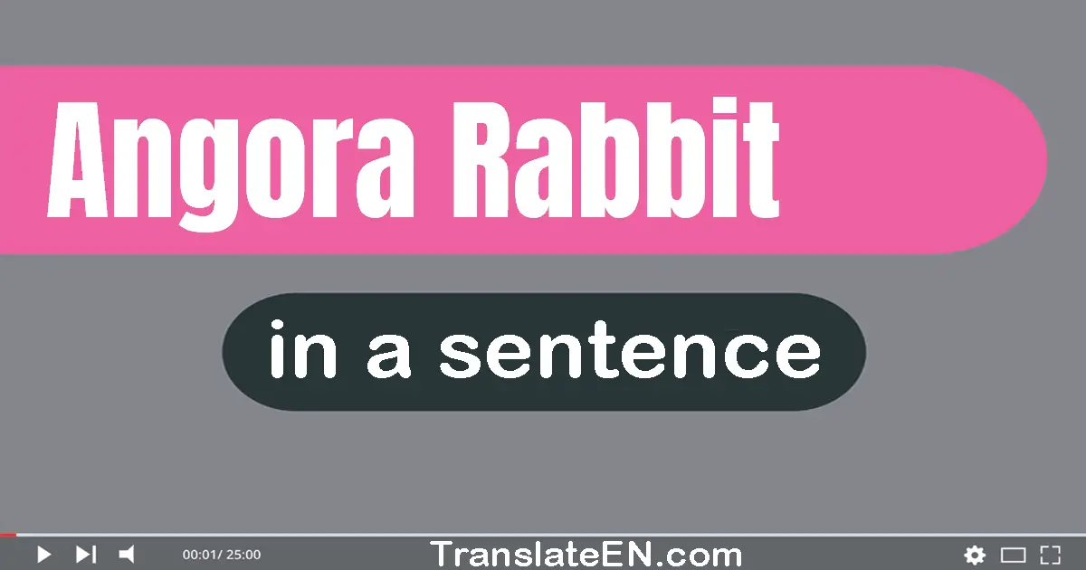 Angora Rabbit in a sentence