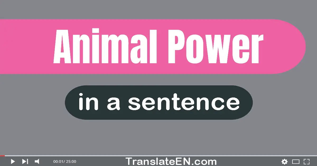 Animal Power in a sentence