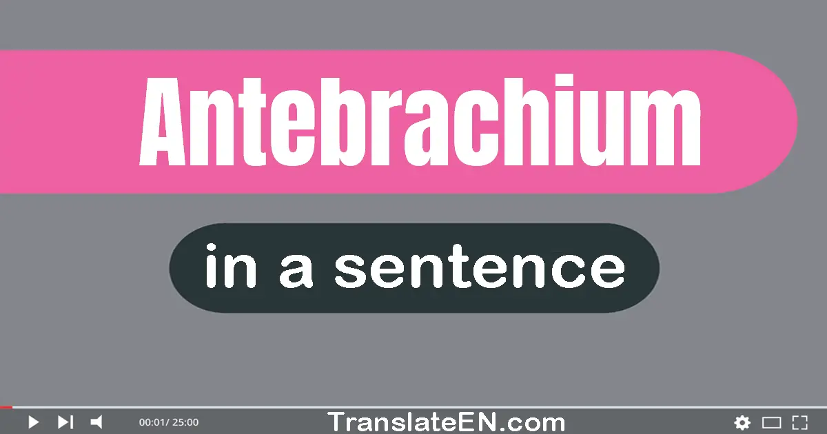 Antebrachium in a sentence