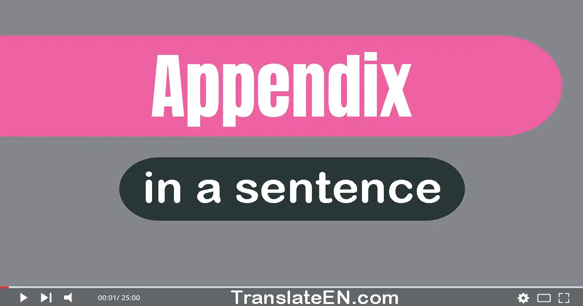 Use "appendix" in a sentence | "appendix" sentence examples