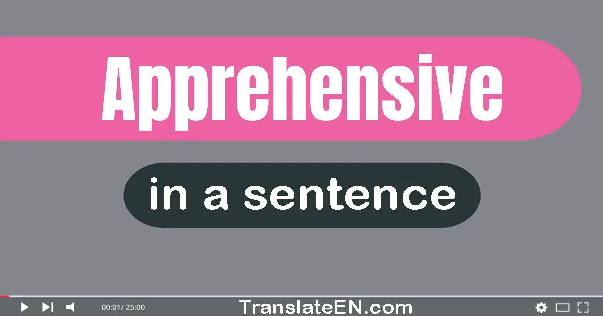 Apprehensive in a sentence