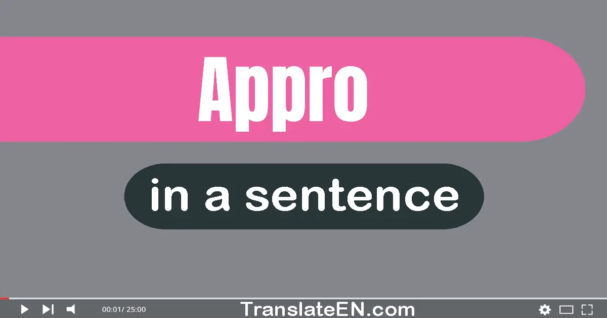 Appro in a sentence