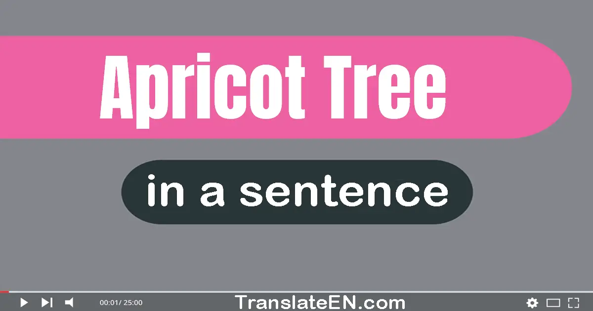 Apricot Tree in a sentence