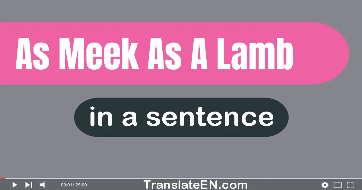 As Meek As A Lamb in a sentence