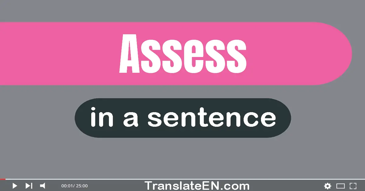 Use "assess" in a sentence | "assess" sentence examples