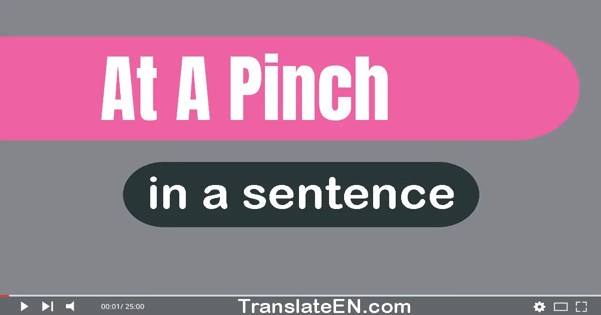 Use "at a pinch" in a sentence | "at a pinch" sentence examples