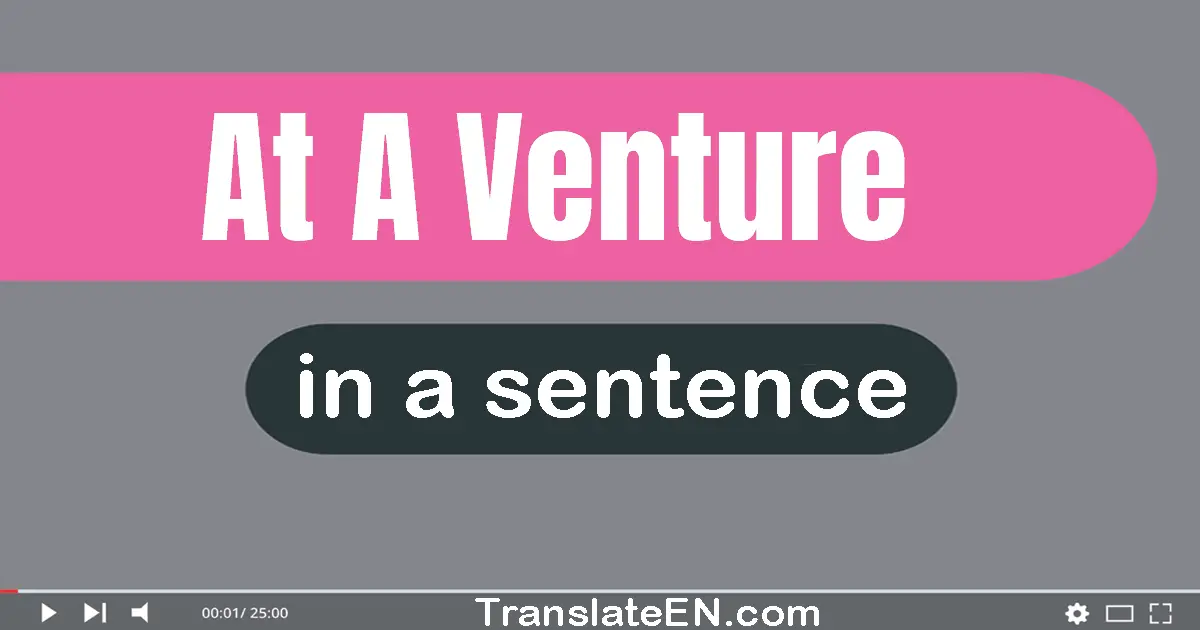 Use "at a venture" in a sentence | "at a venture" sentence examples