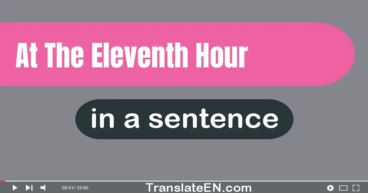 At The Eleventh Hour in a sentence