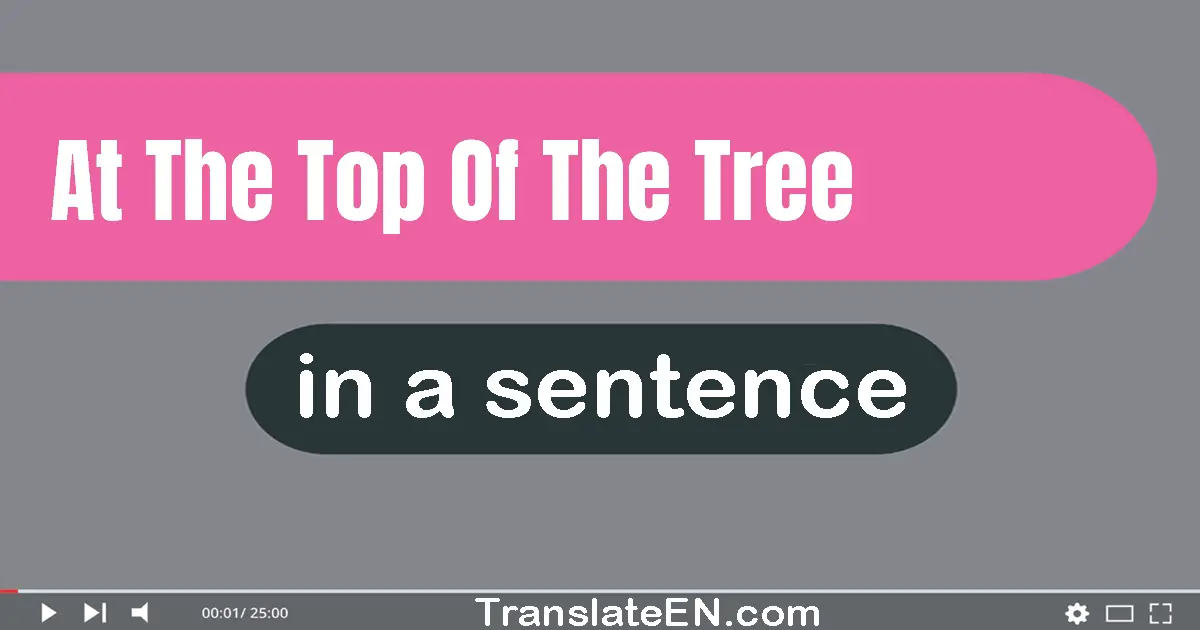 At The Top Of The Tree in a sentence