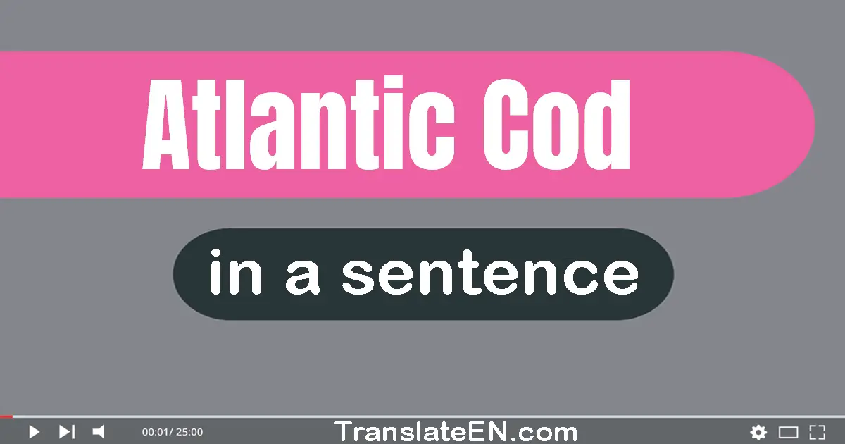 Atlantic Cod in a sentence