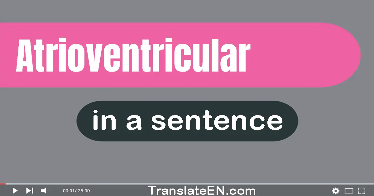 Use "atrioventricular" in a sentence | "atrioventricular" sentence examples