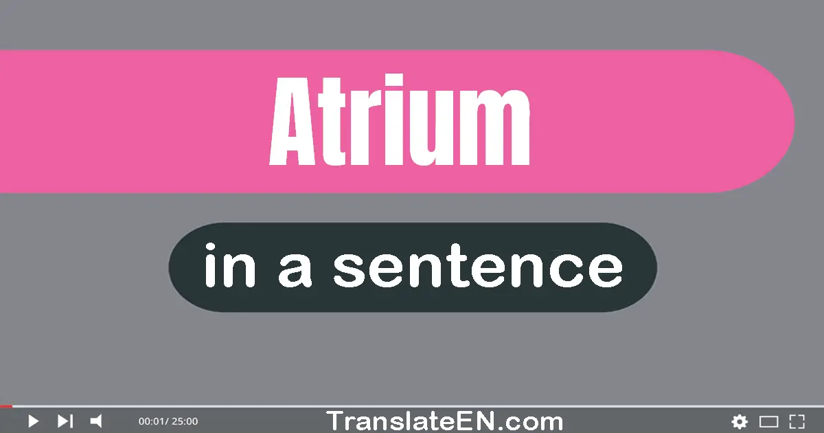 Use "atrium" in a sentence | "atrium" sentence examples