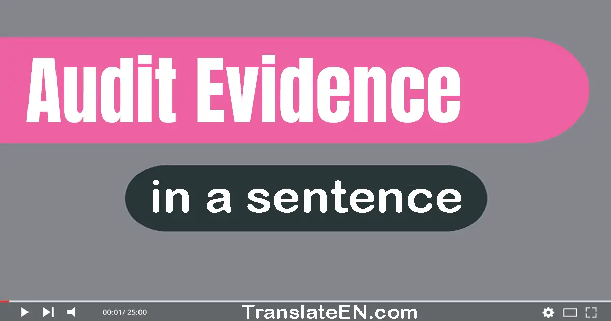 Audit Evidence in a sentence