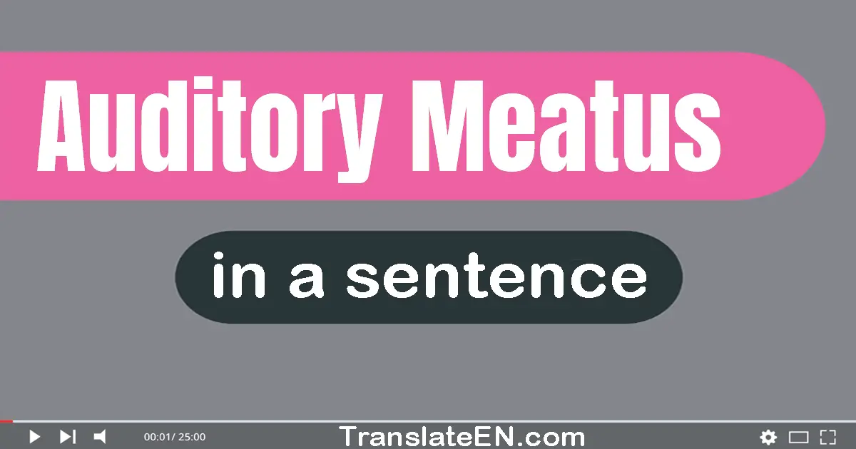 Auditory Meatus in a sentence