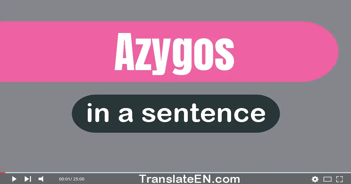 Azygos in a sentence